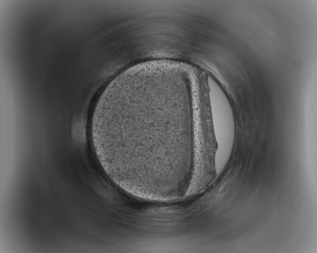 X0000096410299200802211231