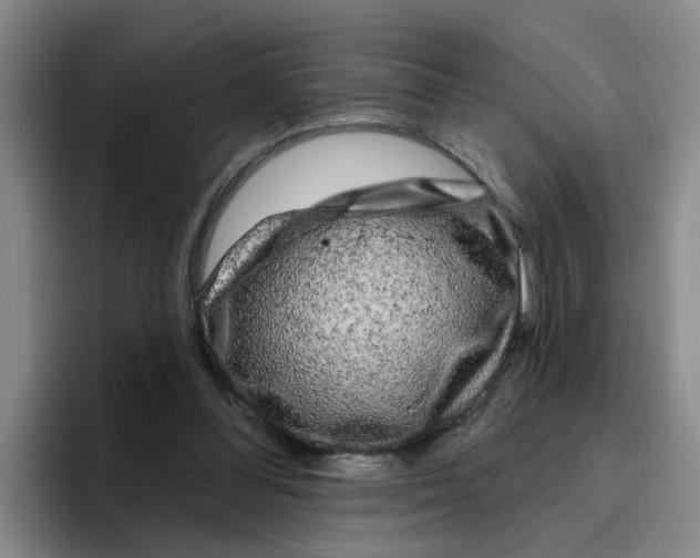 X0000096410300200802211231