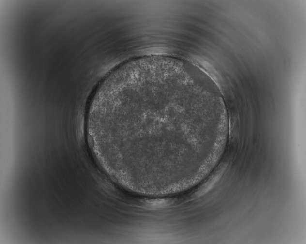 X0000096410301200802211231