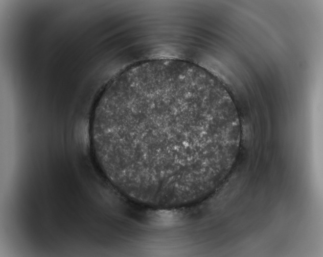 X0000096410302200802211231