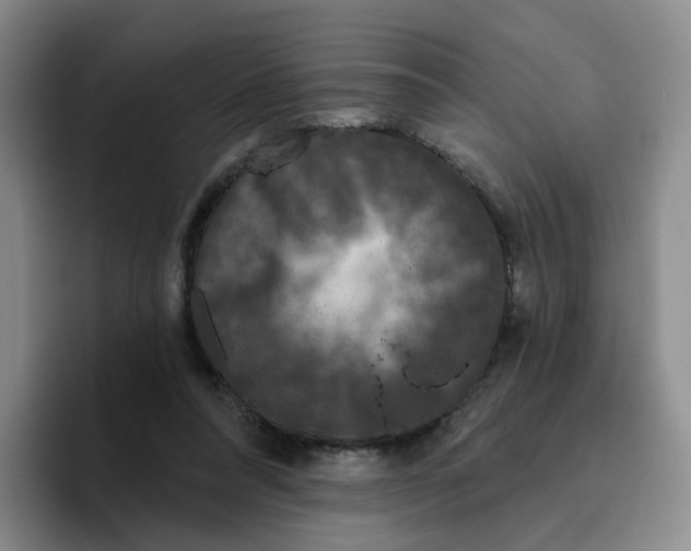X0000096410304200802211231