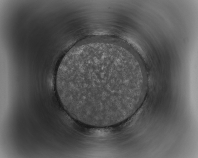 X0000096410305200802211231