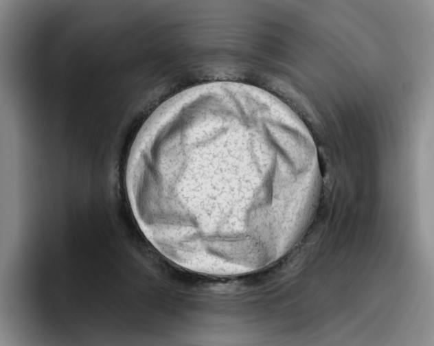 X0000096410306200802211231