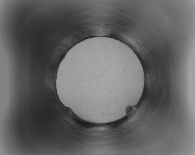 X0000096410307200802211231