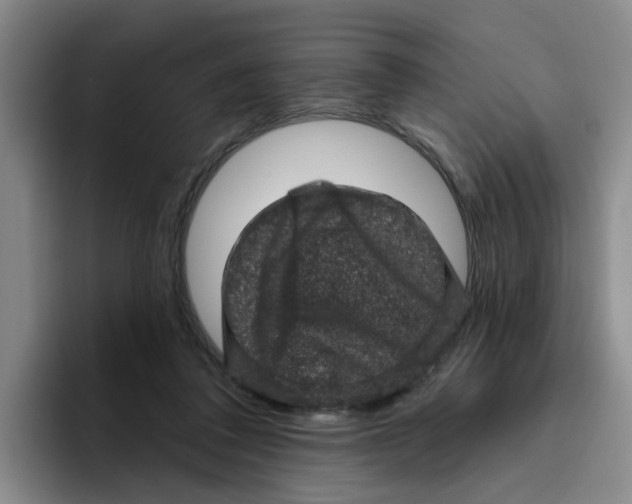 X0000096410308200802211231