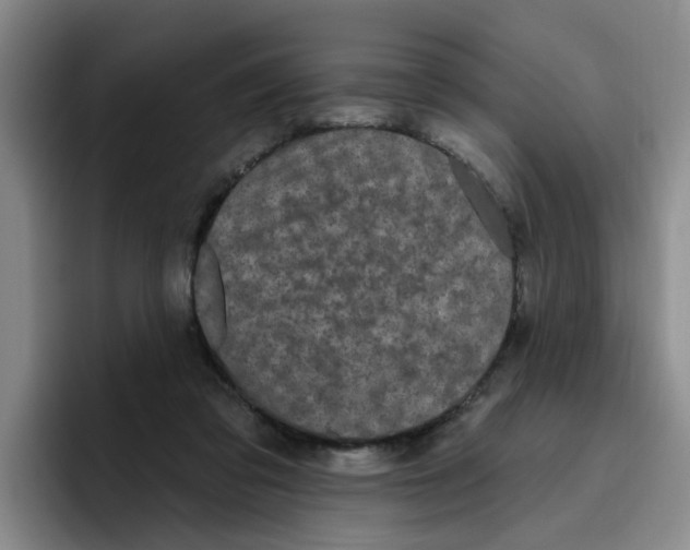 X0000096410309200802211231