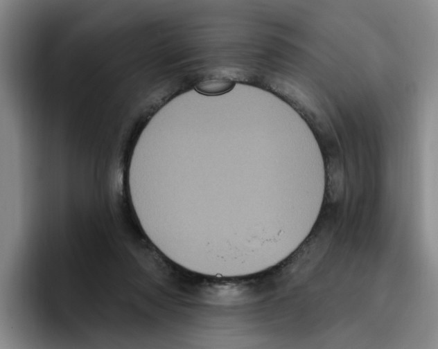 X0000096410310200802211231
