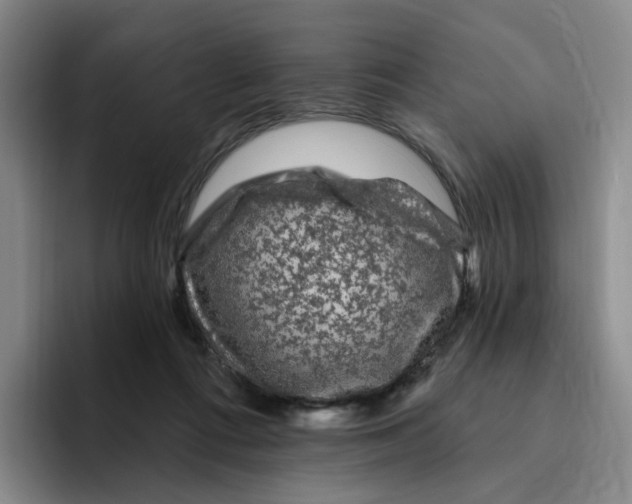 X0000096410312200802211231