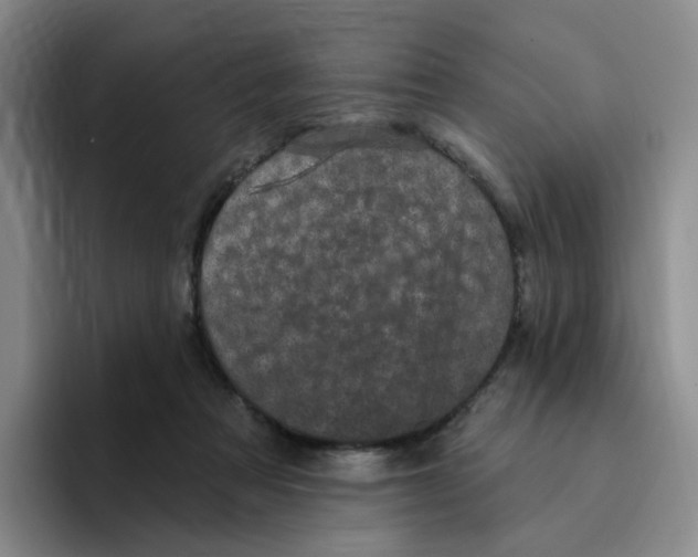 X0000096410313200802211231