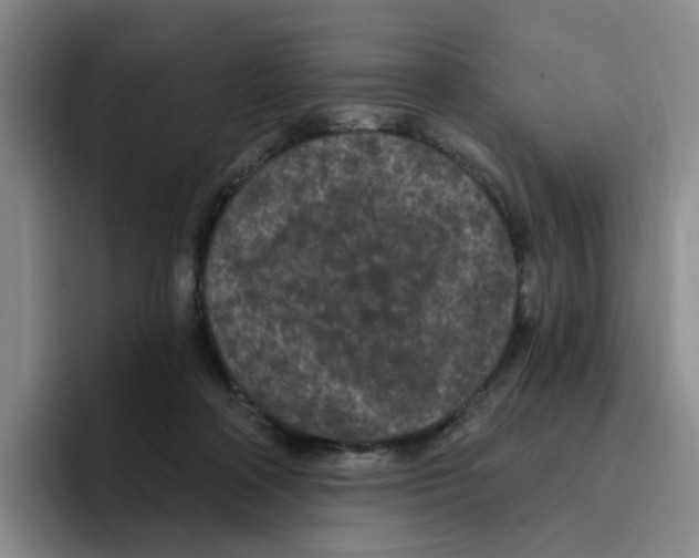 X0000096410314200802211231