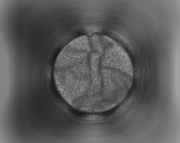 X0000096410315200802211231