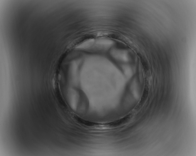 X0000096410316200802211231