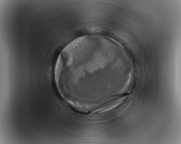 X0000096410319200802211231
