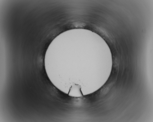 X0000096410321200802211231