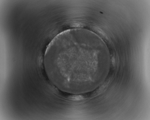 X0000096410322200802211231