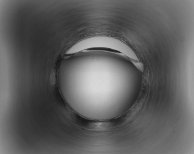 X0000096410323200802211231