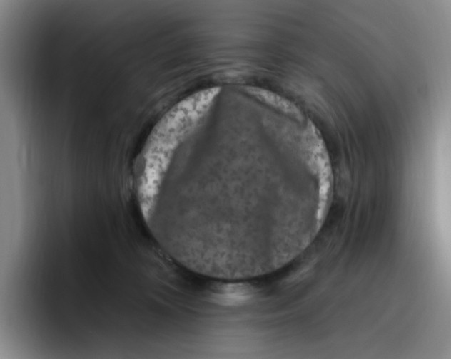 X0000096410324200802211231