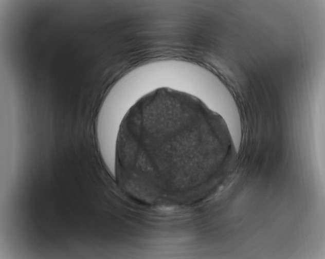 X0000096410325200802211231