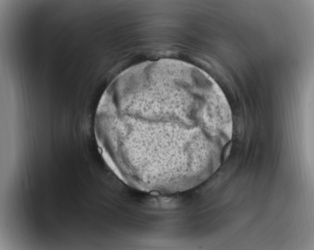 X0000096410326200802211231