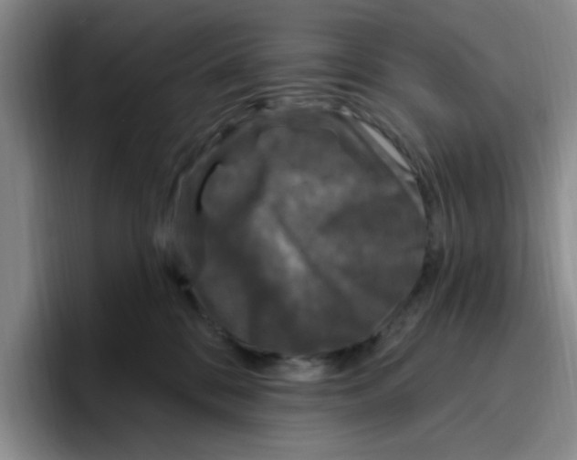 X0000096410328200802211231