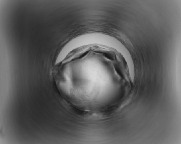 X0000096410329200802211231