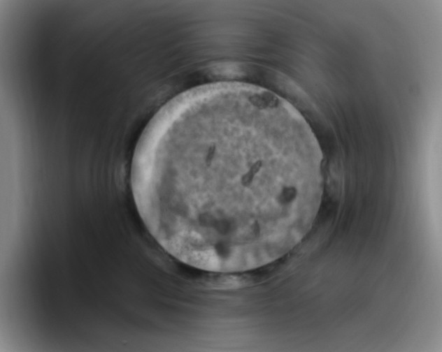 X0000096410330200802211231