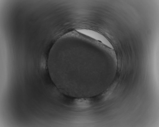 X0000096410331200802211231