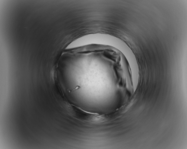 X0000096410333200802211231