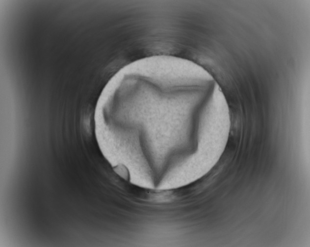 X0000096410334200802211231