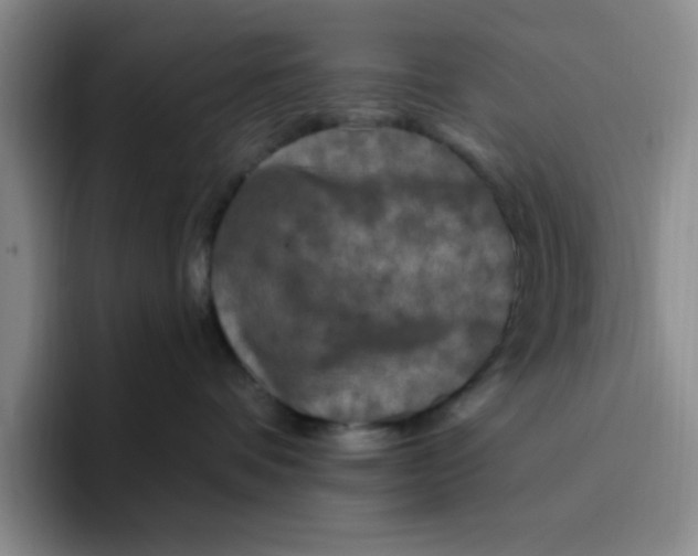 X0000096410336200802211231