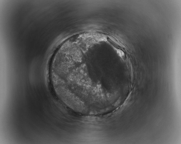 X0000096410339200802211230