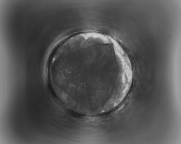 X0000096410343200802211230