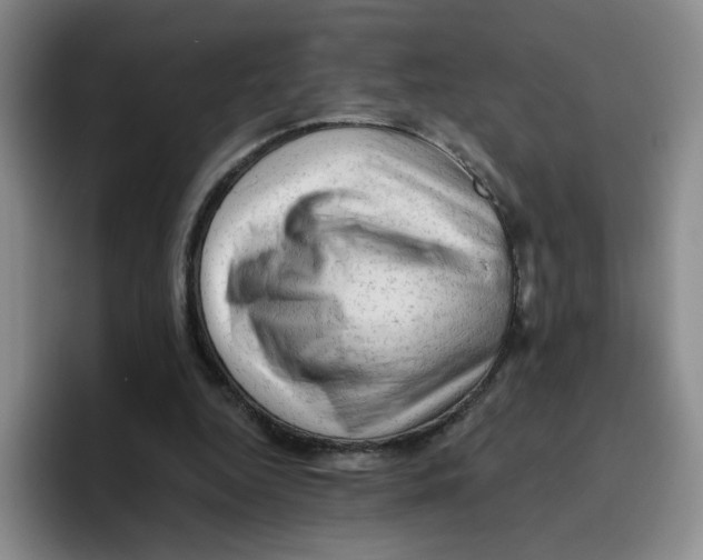 X0000096410344200802211230