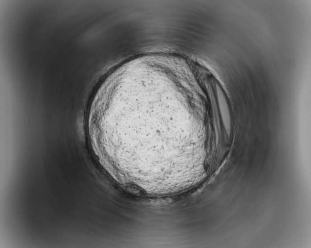 X0000096410345200802211230