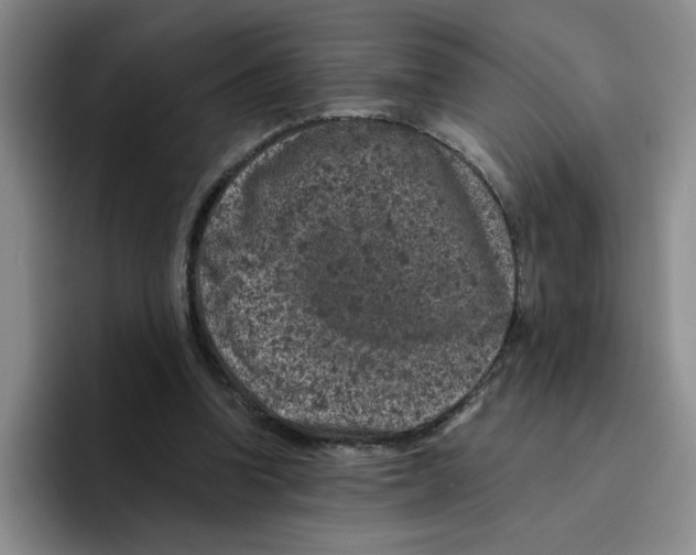 X0000096410346200802211230