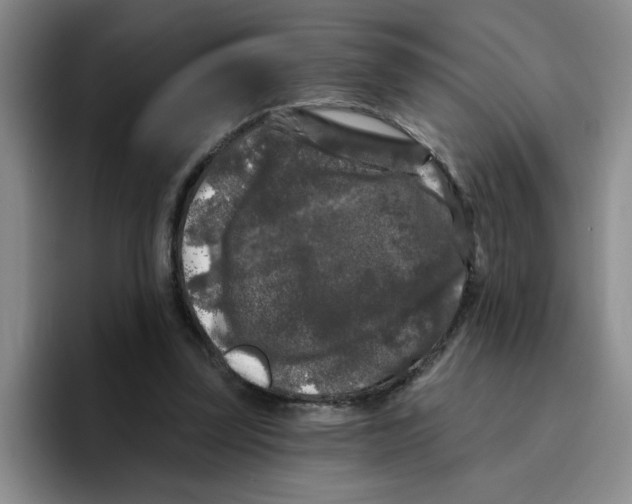 X0000096410347200802211230