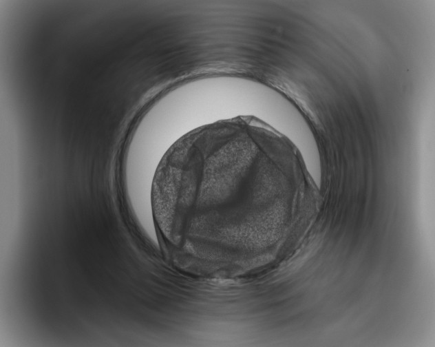 X0000096410348200802211230