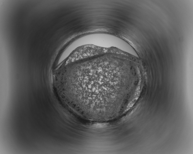 X0000096410350200802211230