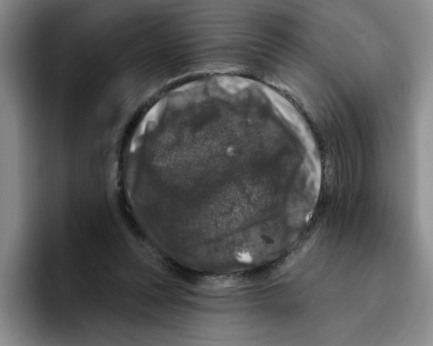 X0000096410351200802211230