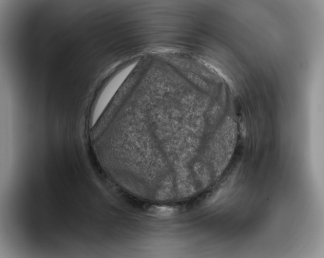 X0000096410352200802211230