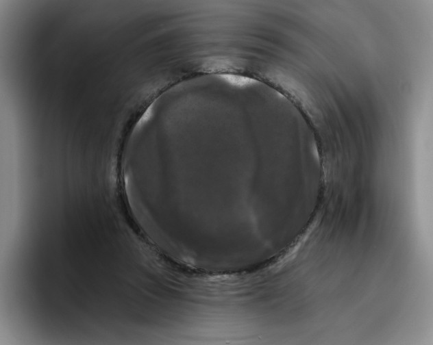 X0000096410353200802211230