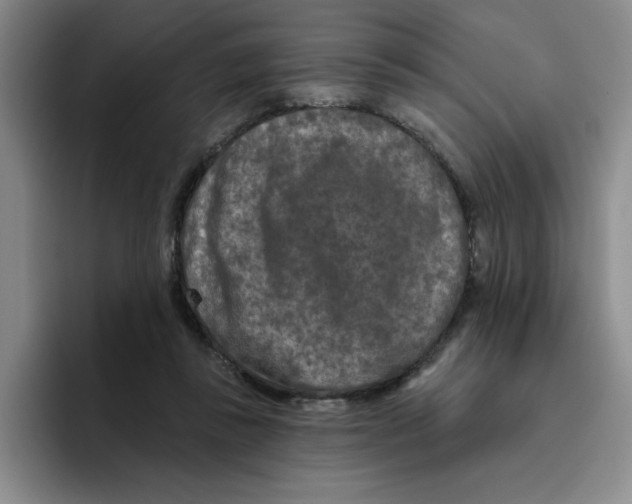 X0000096410355200802211230