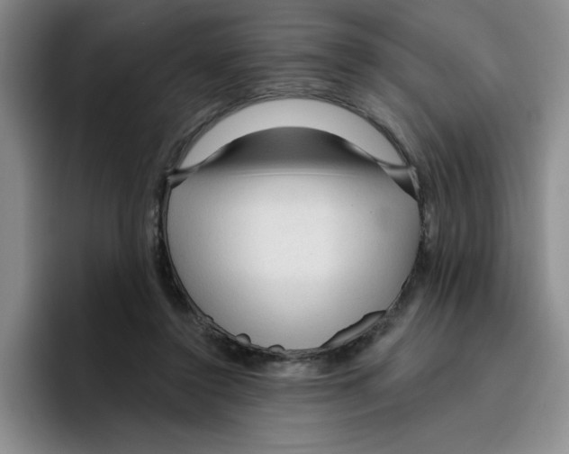 X0000096410356200802211230