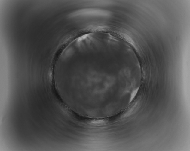X0000096410357200802211230