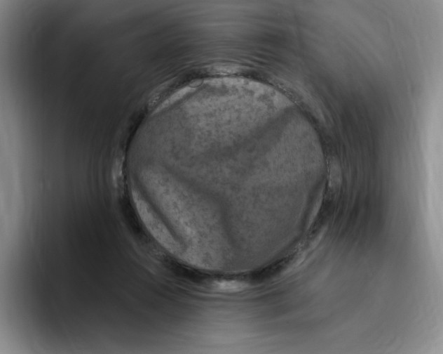 X0000096410360200802211230