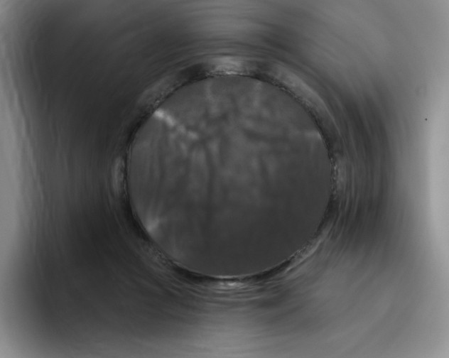 X0000096410361200802211230