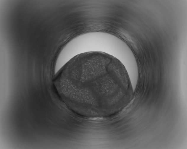X0000096410362200802211230