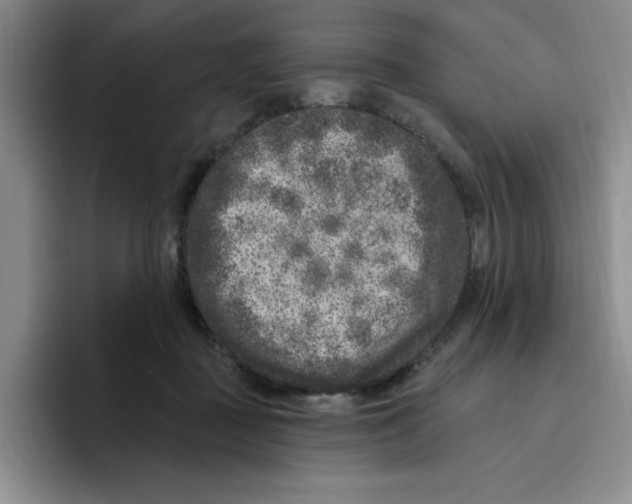 X0000096410363200802211230