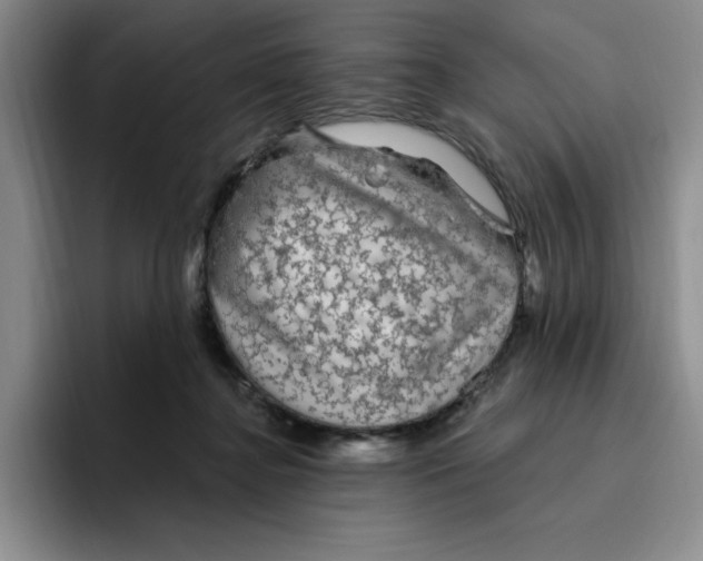 X0000096410364200802211230