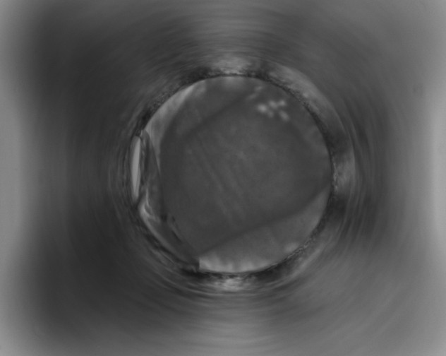 X0000096410365200802211230